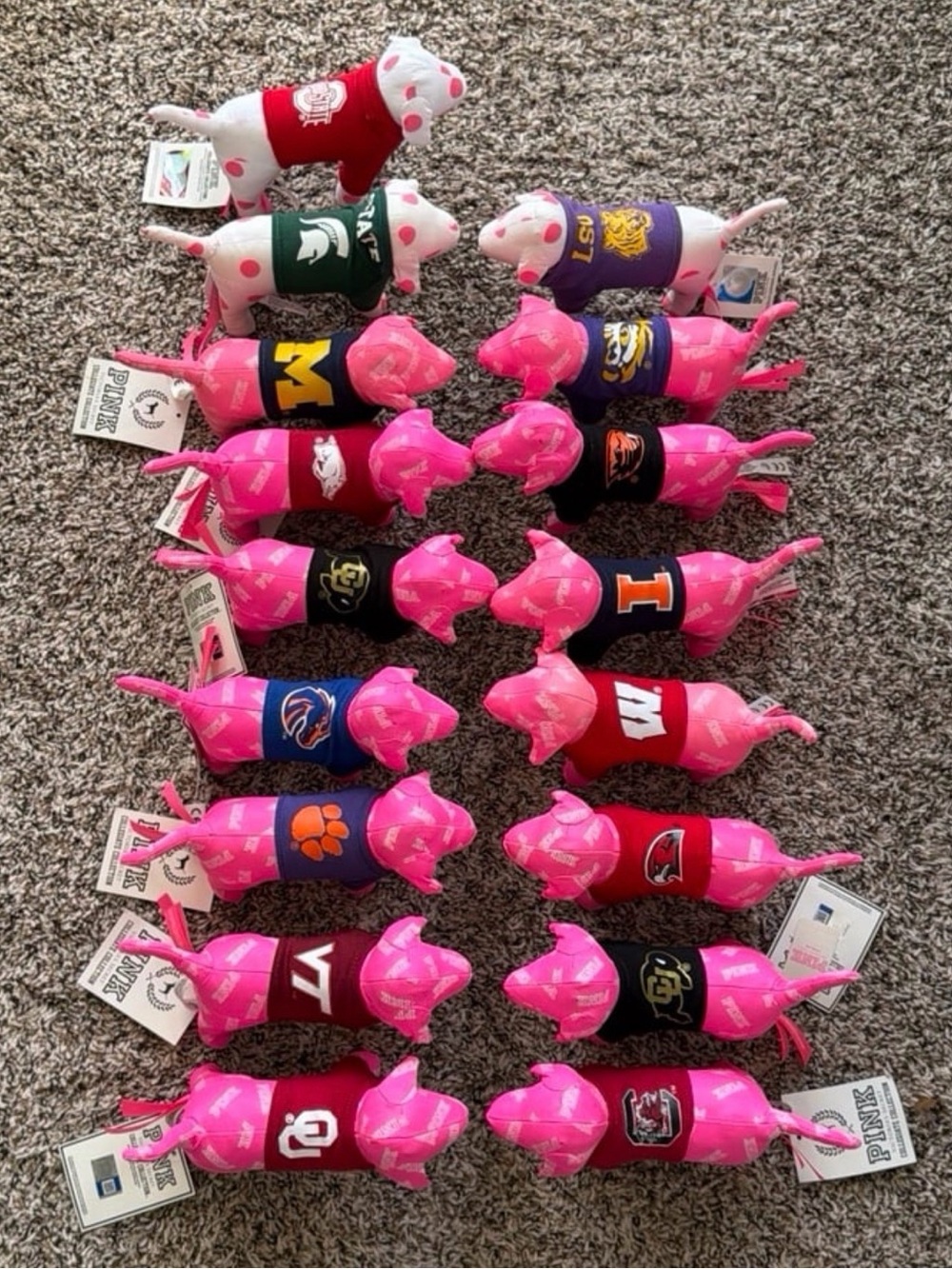 PINK Victoria’s Secret Collegiate Dog Collection lot